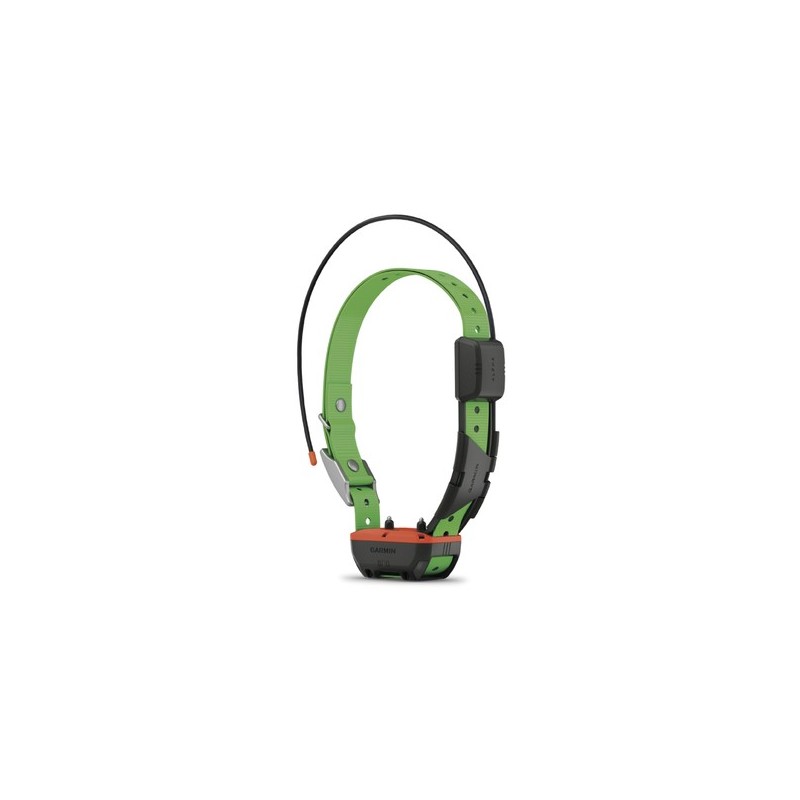 Collier de reperage de dressage garmin tt25f pour alpha 100/10/200/300/550+