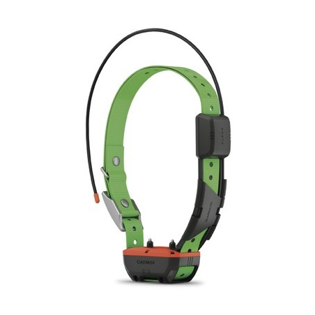 Collier de reperage de dressage garmin tt25f pour alpha 100/10/200/300/550+