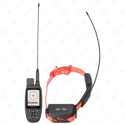 Collier de reperage num'axe canicom gps2
