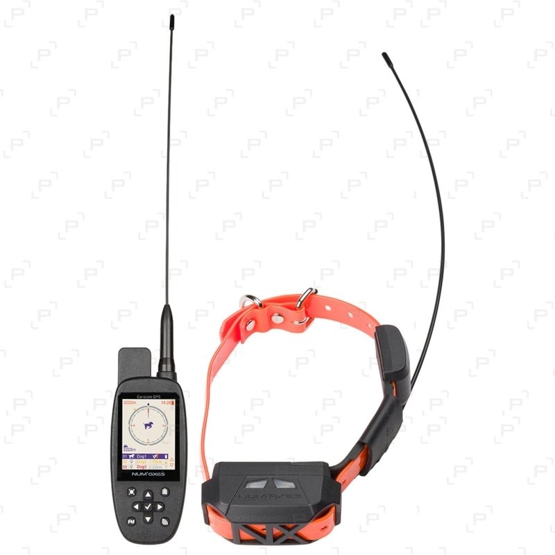 Pack colliers de reperage num'axes canicom
