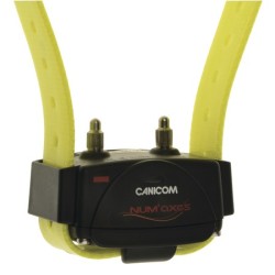 Collier sup. canicom jaune