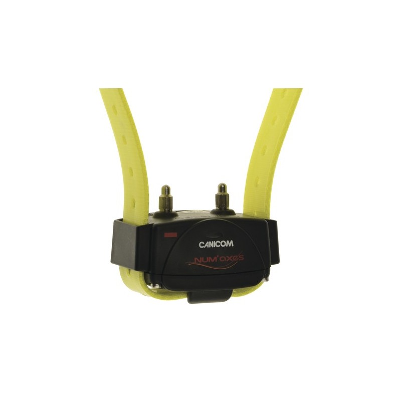 Collier sup. canicom jaune