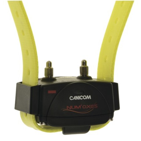 Collier sup. canicom jaune