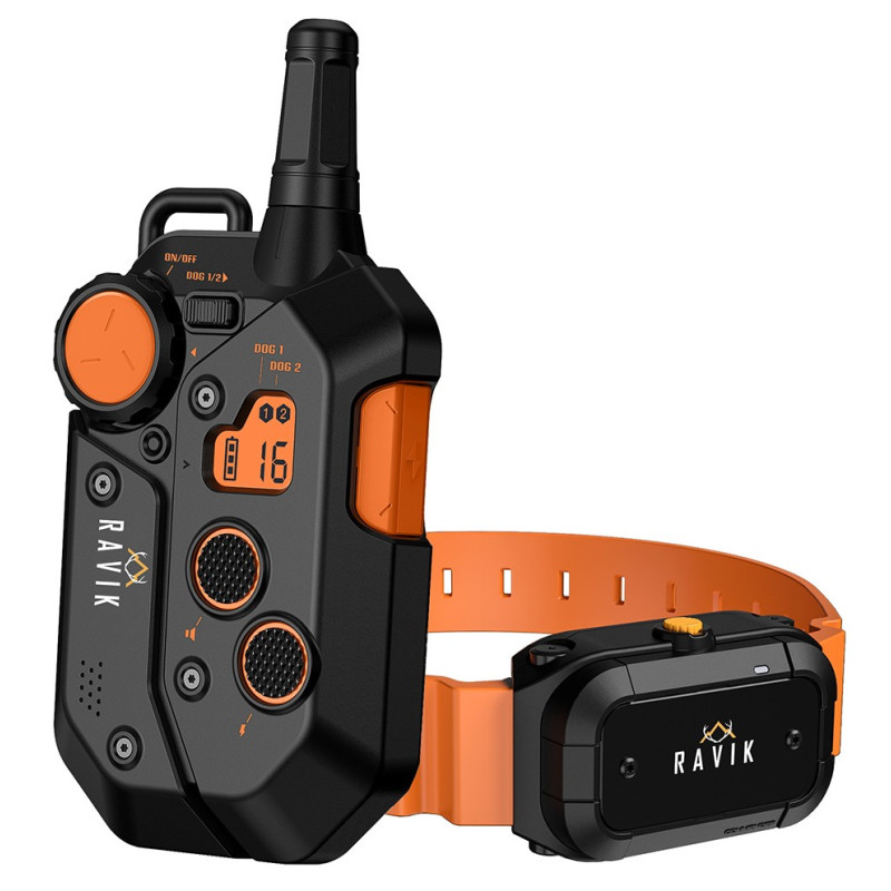 Pack collier de dressage ravik rv900 pour 1 chien