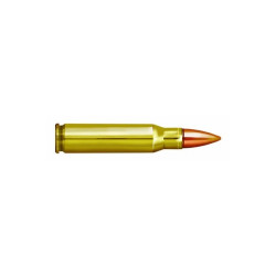 Prvi partisan 308 win bte 20