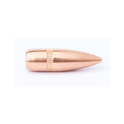 Ogives campro .224 55grs bt