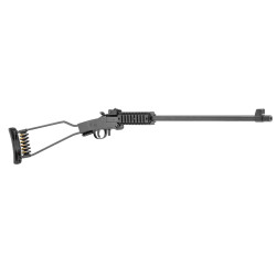 Carabine chiappa firearms little badger 22 long rifle