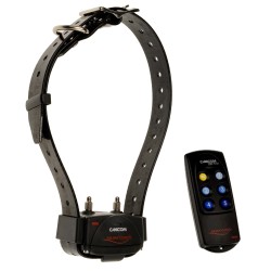 Collier canicom 200 first