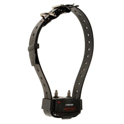 Collier canicom 200 first