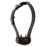 Collier canicom 200 first