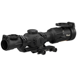 Lunette sig sauer tango msr 1-10x28