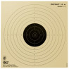 Paquet 100 cibles pistolet 10m 17x17