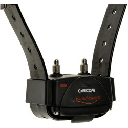 Collier sup. canicom noir