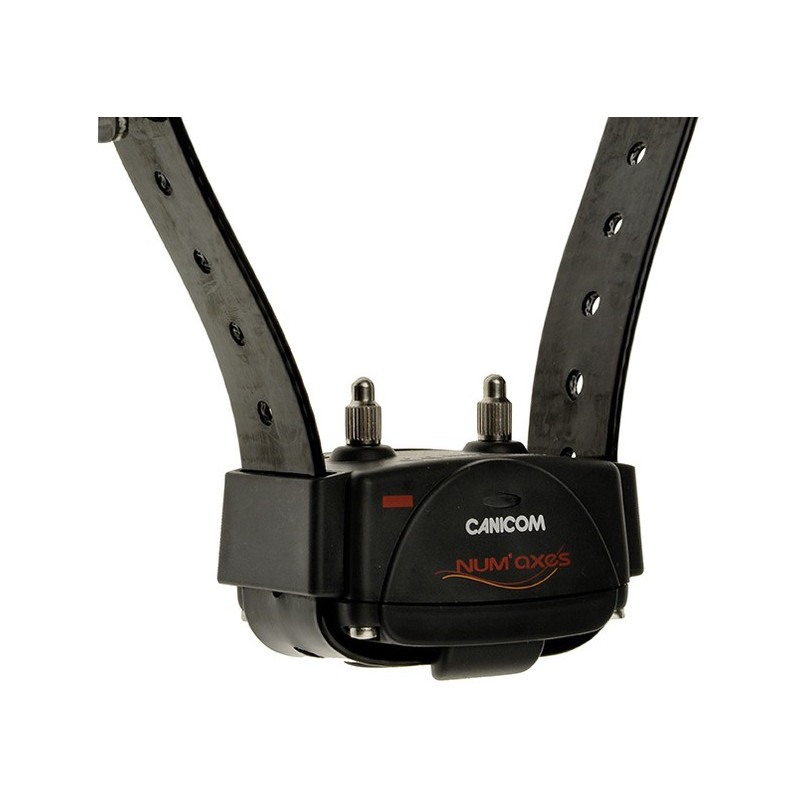 Collier sup. canicom noir