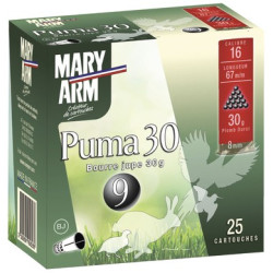 Cart mary arm puma 30 cal 16/67 n°6