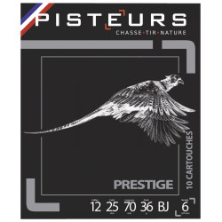 Cart pisteurs prestige bj 36 p°6