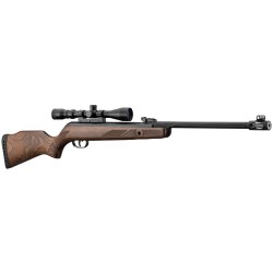 Carabine a plomb gamo 440 hunter as combo 19.9 j + lunett