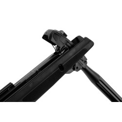 Carabine gamo replay 10 maxxim cal 4.5mm 20j + lun