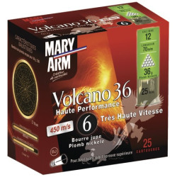 Cart plomb nickele mary arm volcano n6