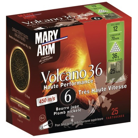Cart plomb nickele mary arm volcano n6