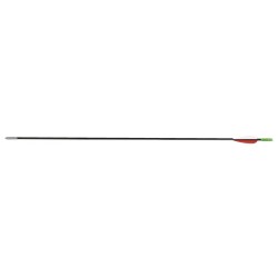 Fleche secura carbone pointe coller