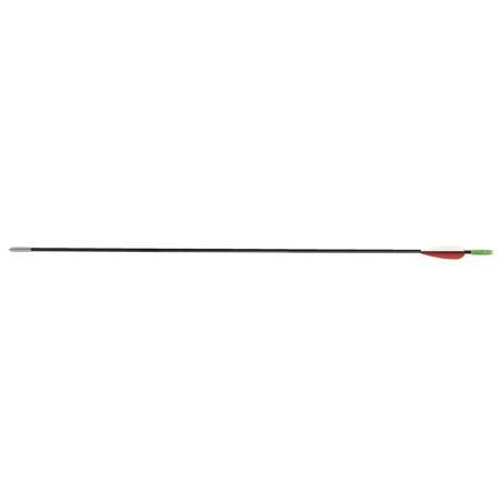 Fleche secura carbone pointe coller