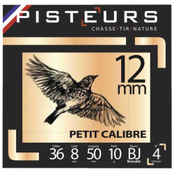 100 Cart. pisteurs petit calibre cal. 12 mm / 50 mm n° 5