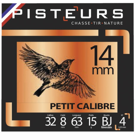 100 Cart pisteurs 14 mmn° 6