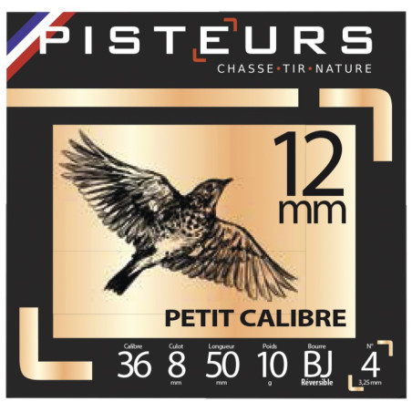 100 Cart. pisteurs petit calibre cal. 12 mm / 50 mm n°6
