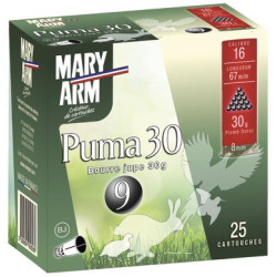250 Cart mary arm puma 30 cal 16/67 n°6