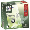 250 Cart mary arm puma 30 cal 16/67 n°6