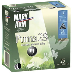 250 Cart mary arm puma 30 cal 16/67 n6