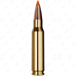 40 Cart norma .300win mag 11.0g 170gr tipstrike bte 20
