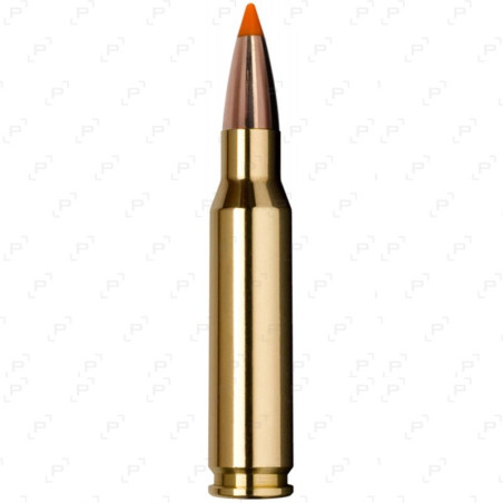 40 Cart norma .300win mag 11.0g 170gr tipstrike bte 20
