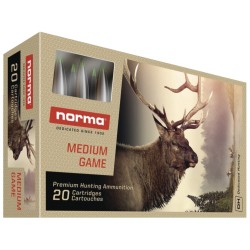 Cartouche norma tipstrike cal 300 170gr 11g